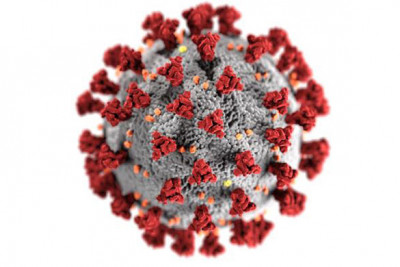 covid 19 virus illustration blog